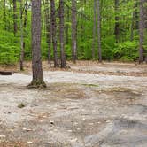 Review photo of White Lake State Park Campground by Jean C., June 10, 2019