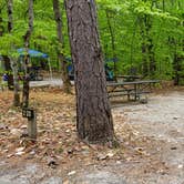 Review photo of White Lake State Park Campground by Jean C., June 10, 2019