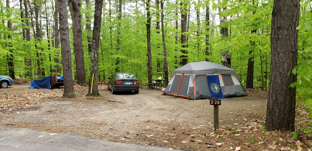 Jean C.'s photo at White Lake State Park Campground near Hales Location, NH
