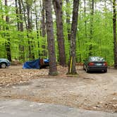 Review photo of White Lake State Park Campground by Jean C., June 10, 2019