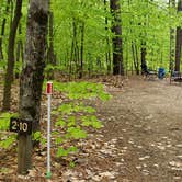 Review photo of White Lake State Park Campground by Jean C., June 10, 2019