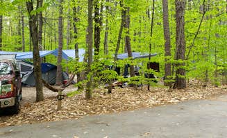 Jean C.'s photo at White Lake State Park Campground near Madison, NH