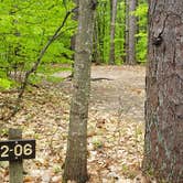 Review photo of White Lake State Park Campground by Jean C., June 10, 2019