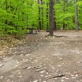 Review photo of White Lake State Park Campground by Jean C., June 10, 2019