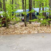 Review photo of White Lake State Park Campground by Jean C., June 10, 2019