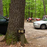 Review photo of White Lake State Park Campground by Jean C., June 10, 2019