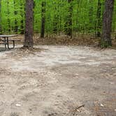 Review photo of White Lake State Park Campground by Jean C., June 10, 2019