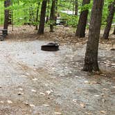 Review photo of White Lake State Park Campground by Jean C., June 10, 2019