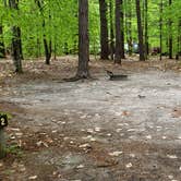 Review photo of White Lake State Park Campground by Jean C., June 10, 2019