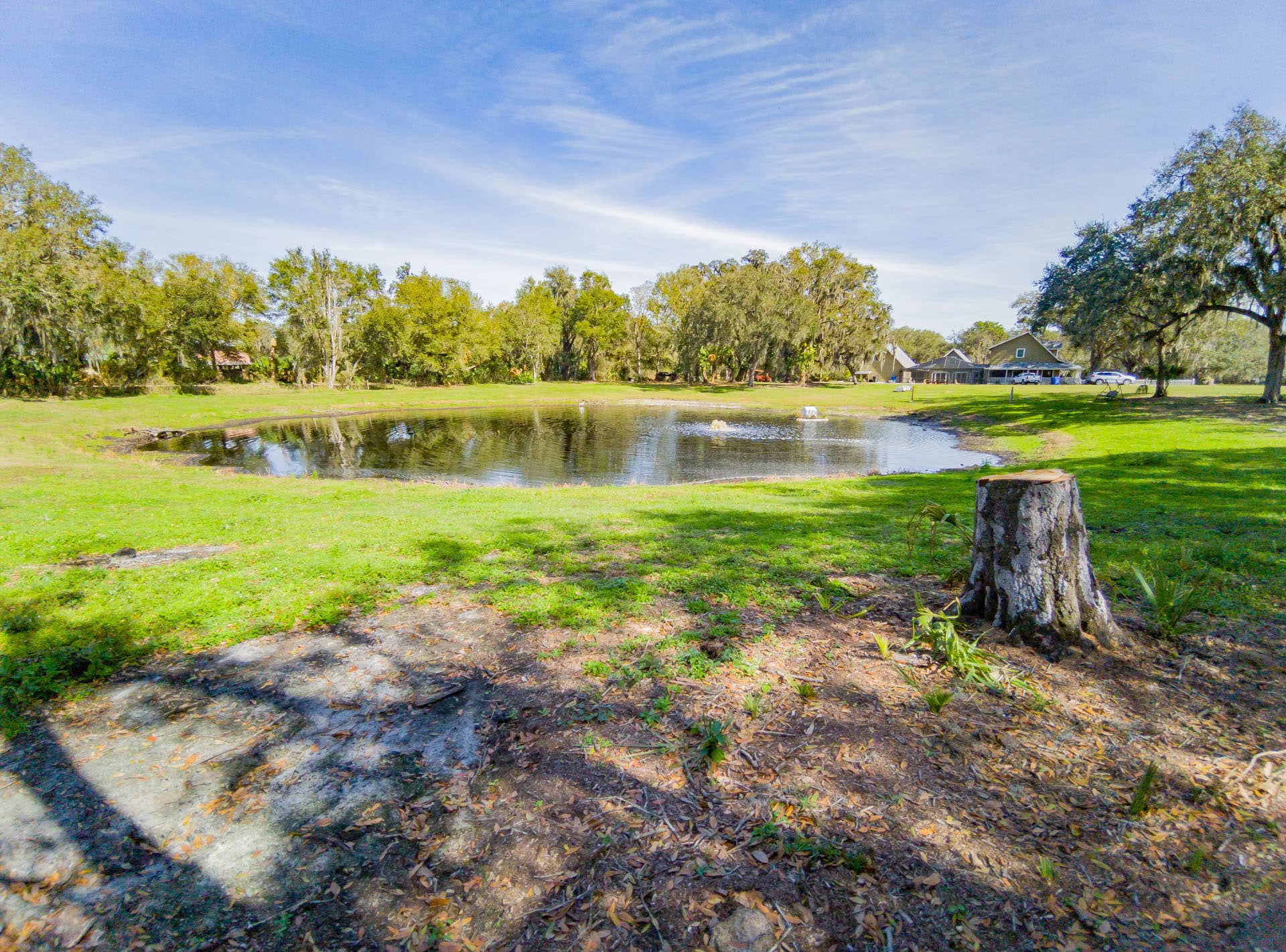 Camping near Edward Medard Park: Owen's Family Farm, Lithia, Florida