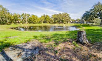 Camping near Edward Medard Park: Owen's Family Farm, Lithia, Florida