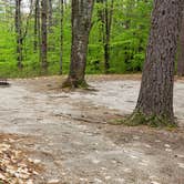 Review photo of White Lake State Park Campground by Jean C., June 10, 2019