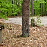 Review photo of White Lake State Park Campground by Jean C., June 10, 2019