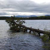 Review photo of White Lake State Park Campground by Jean C., June 10, 2019