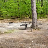 Review photo of White Lake State Park Campground by Jean C., June 10, 2019