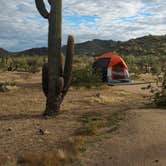 Review photo of White Tank Mountain Regional Park by Ryan W., March 19, 2024