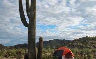 Ryan W.'s photo of camping with pets at White Tank Mountain Regional Park near Sun City West, AZ