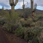 Review photo of White Tank Mountain Regional Park by Ryan W., March 19, 2024