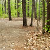 Review photo of White Lake State Park Campground by Jean C., June 10, 2019