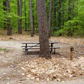 Review photo of White Lake State Park Campground by Jean C., June 10, 2019