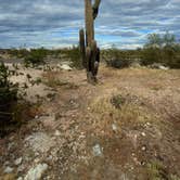 Review photo of White Tank Mountain Regional Park by Ryan W., March 19, 2024