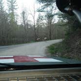 Review photo of Cataloochee Group Campground — Great Smoky Mountains National Park by Jim M., March 19, 2024