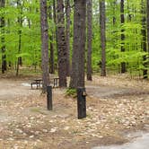 Review photo of White Lake State Park Campground by Jean C., June 10, 2019