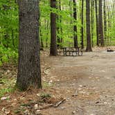 Review photo of White Lake State Park Campground by Jean C., June 10, 2019