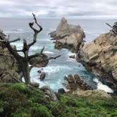 Review photo of Pfeiffer Big Sur State Park Campground by James N., March 19, 2024