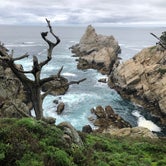 Review photo of Pfeiffer Big Sur State Park Campground by James N., March 19, 2024