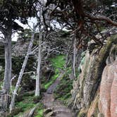 Review photo of Pfeiffer Big Sur State Park Campground by James N., March 19, 2024