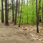 Review photo of White Lake State Park Campground by Jean C., June 10, 2019