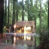 Review photo of Burlington Campground — Humboldt Redwoods State Park by James N., March 20, 2024