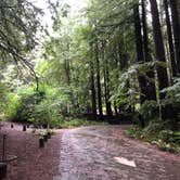 Review photo of Burlington Campground — Humboldt Redwoods State Park by James N., March 20, 2024