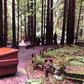 Review photo of Burlington Campground — Humboldt Redwoods State Park by James N., March 20, 2024