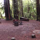 Review photo of Burlington Campground — Humboldt Redwoods State Park by James N., March 20, 2024