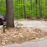 Review photo of White Lake State Park Campground by Jean C., June 10, 2019