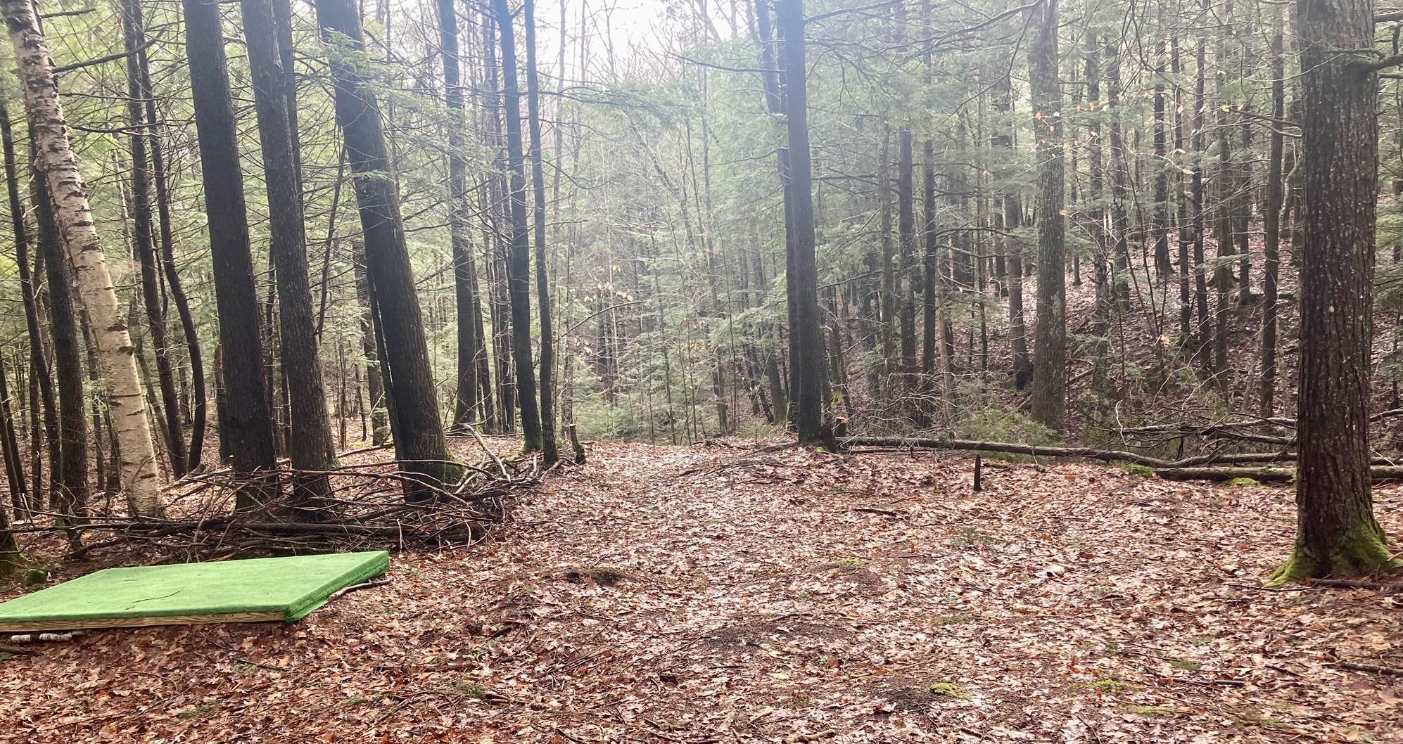 Camper-submitted photo at Runaround Woods near Bath, ME