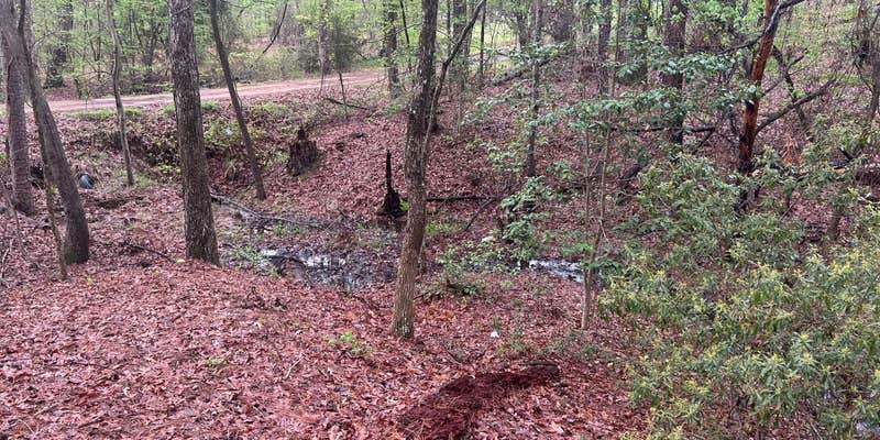 Camper submitted image from Lake o pine nook