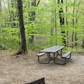 Review photo of White Lake State Park Campground by Jean C., June 10, 2019