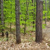 Review photo of White Lake State Park Campground by Jean C., June 10, 2019