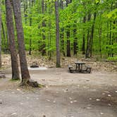 Review photo of White Lake State Park Campground by Jean C., June 10, 2019