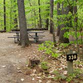 Review photo of White Lake State Park Campground by Jean C., June 10, 2019