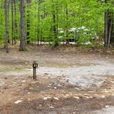 Review photo of White Lake State Park Campground by Jean C., June 10, 2019