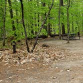 Review photo of White Lake State Park Campground by Jean C., June 10, 2019