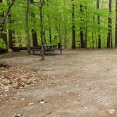 Review photo of White Lake State Park Campground by Jean C., June 10, 2019