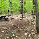 Review photo of White Lake State Park Campground by Jean C., June 10, 2019