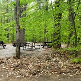 Review photo of White Lake State Park Campground by Jean C., June 10, 2019