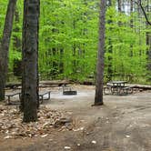 Review photo of White Lake State Park Campground by Jean C., June 10, 2019