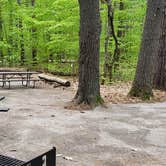 Review photo of White Lake State Park Campground by Jean C., June 10, 2019